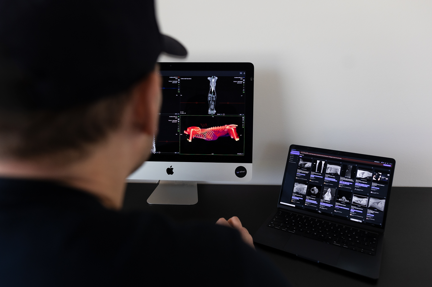 3D CT reconstruction of an animal study on the Veheri platform