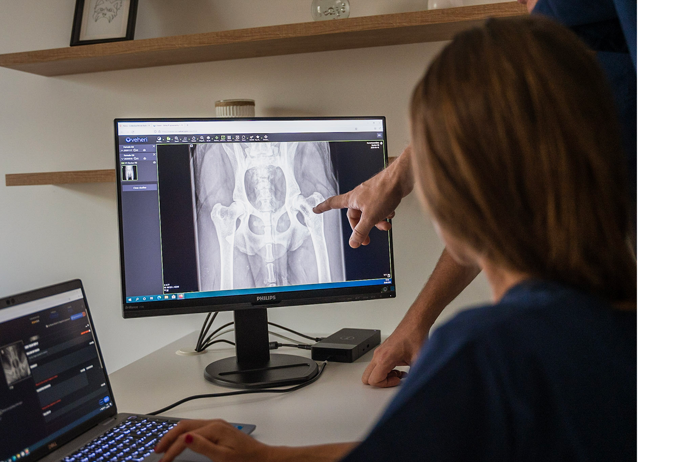 A veterinarian and colleague reviewing a canine hip X-ray in the Veheri viewer